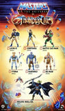 Masters of the Universe Thundercats Wave 2 Tygra - Smalltinytoystore