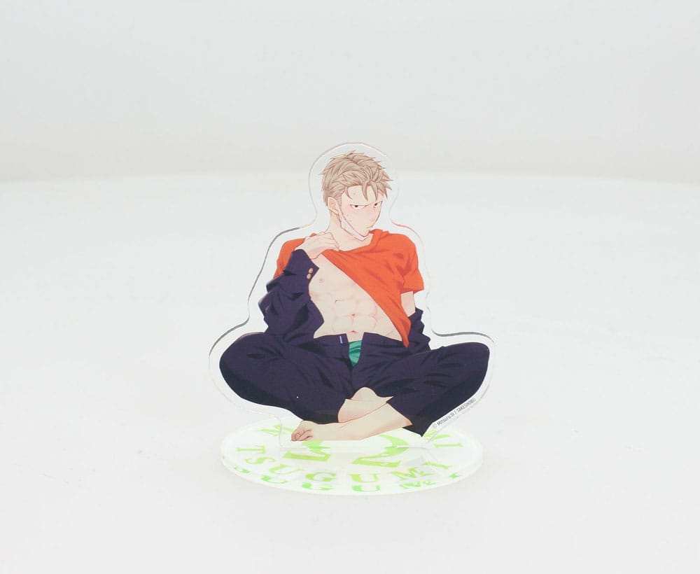 Megumi & Tsugumi Acryl Figur Megumi 21 cm - Smalltinytoystore