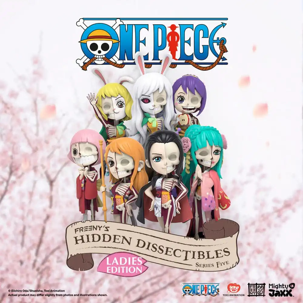 One Piece Blind Box Hidden Dissectibles Series 5 (Ladies ed.) Display (6) - Smalltinytoystore