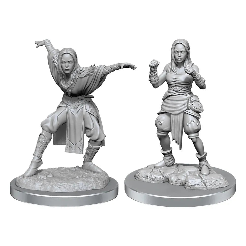 Pathfinder Battles Deep Cuts Miniaturen unbemalt 2er-Packs Half-Elf Monk Female Umkarton (2) - Smalltinytoystore