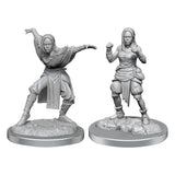 Pathfinder Battles Deep Cuts Miniaturen unbemalt 2er-Packs Half-Elf Monk Female Umkarton (2) - Smalltinytoystore