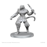 Pathfinder Deep Cuts Miniaturen unbemalt Elf Hunter & Catfolk Bandit - Smalltinytoystore