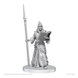 Pathfinder Deep Cuts Miniaturen unbemalt Vloriak (Despoiler Demon) & Demonologist - Smalltinytoystore