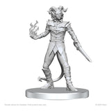Pathfinder Deep Cuts Miniaturen unbemalt Vordine (Infantry Devil) & Pitborn Rogue - Smalltinytoystore