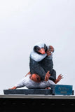 Phantastische Tierwesen Life-Size Statue Niffler 2 22 cm - Smalltinytoystore