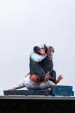 Phantastische Tierwesen Life-Size Statue Niffler 2 22 cm - Smalltinytoystore