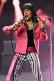 Rolling Stones Clothed Figure Actionfigur Mick Jagger (1975) 20 cm - Smalltinytoystore