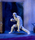 Scooby-Doo Actionfigur 1/12 Mummy of Ankha 17 cm - Smalltinytoystore