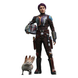 Star Wars Ahsoka Actionfigur 1/6 Sabine Wren 28 cm HOT TOYS - Smalltinytoystore