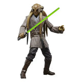 Star Wars Episode III Black Series Actionfigur 20th Anniversary Kit Fisto 15 cm - Beschädigte Verpackung - Smalltinytoystore