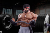 Street Fighter Premier Series Statue 1/4 Ryu Battle Edition: Powerlifting 53 cm - Smalltinytoystore