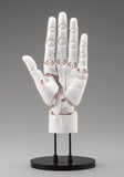 Takahiro Kagami PVC Artist Support Item Hand 1/1 Model Men /L White 22 cm - Smalltinytoystore