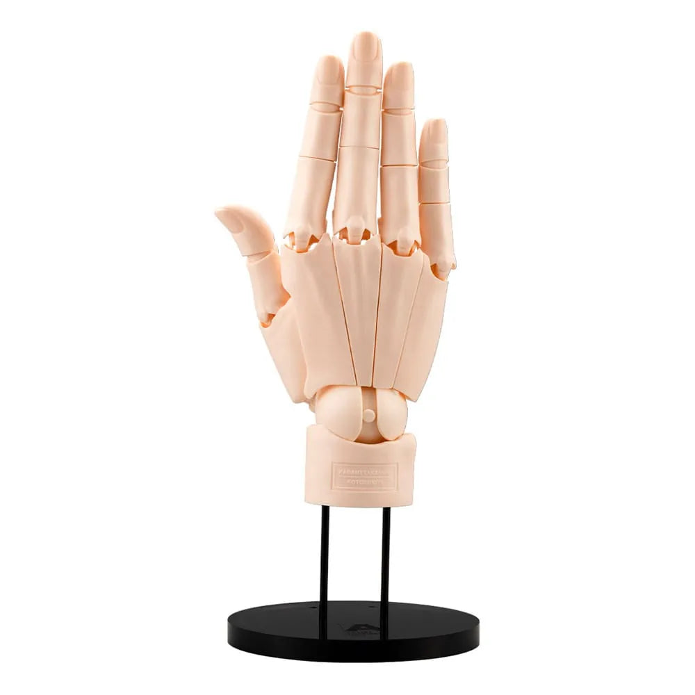 Takahiro Kagami PVC Artist Support Item Hand 1/1 Model/R Pale Orange 21 cm - Smalltinytoystore