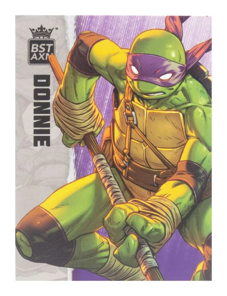 Teenage Mutant Ninja Turtles BST AXN Actionfigur Donatello (IDW Comics) 13 cm - Smalltinytoystore