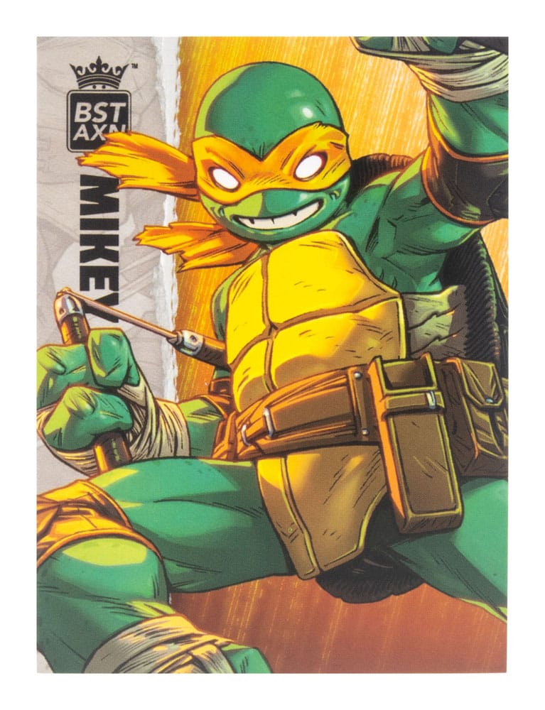 Teenage Mutant Ninja Turtles BST AXN Actionfigur Michelangelo (IDW Comics) 13 cm - Smalltinytoystore