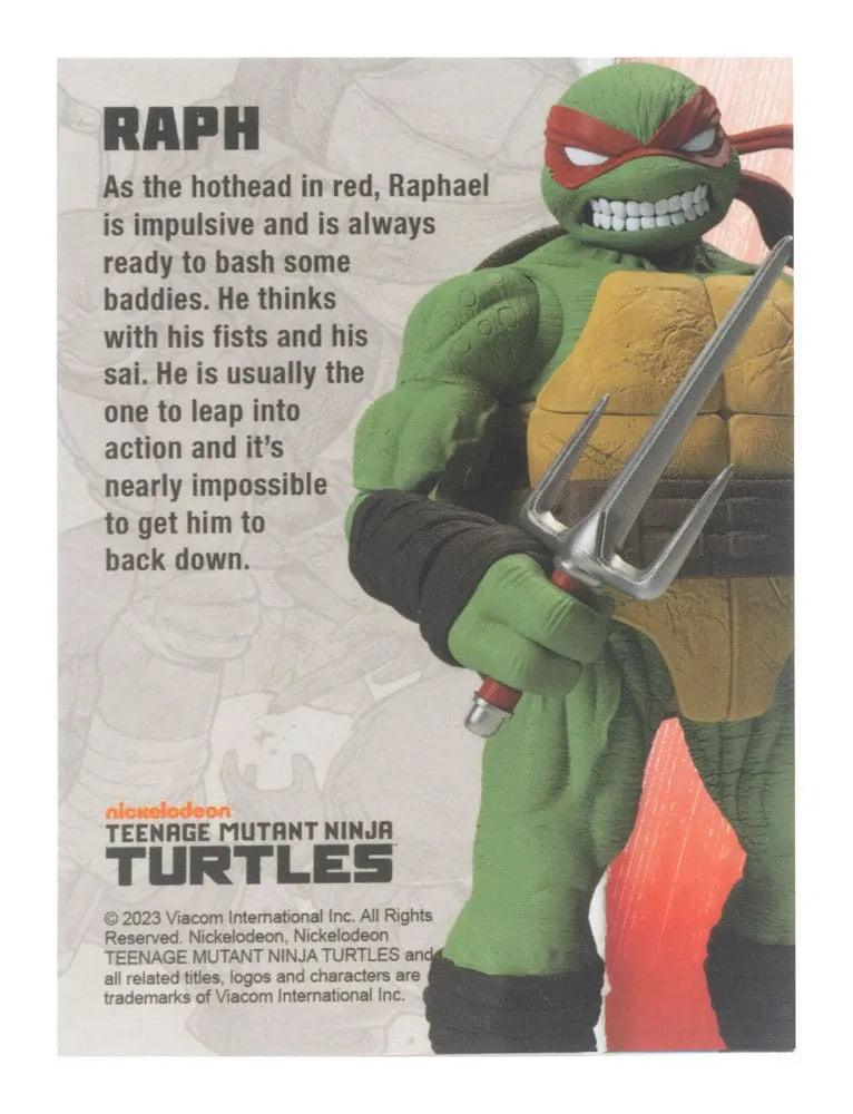Teenage Mutant Ninja Turtles BST AXN Actionfigur Raphael (IDW Comics) 13 cm - Smalltinytoystore