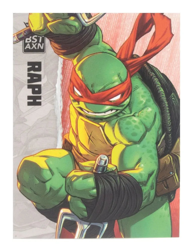 Teenage Mutant Ninja Turtles BST AXN Actionfigur Raphael (IDW Comics) 13 cm - Smalltinytoystore