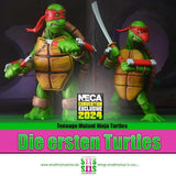 TEENAGE MUTANT NINJA TURTLES (MIRAGE COMICS) - DIE ERSTE TURTLES 40TH ANNIVERSARY 2ER-PACK (2024 CON EXCLUSIVE) - Smalltinytoystore