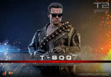 Terminator 2 Movie Masterpiece Actionfigur 1/6 T-800 2.0 HOT TOYS - Smalltinytoystore