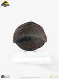 Jurassic Park 1/1 Replik Triceratops Toenail 16 cm
