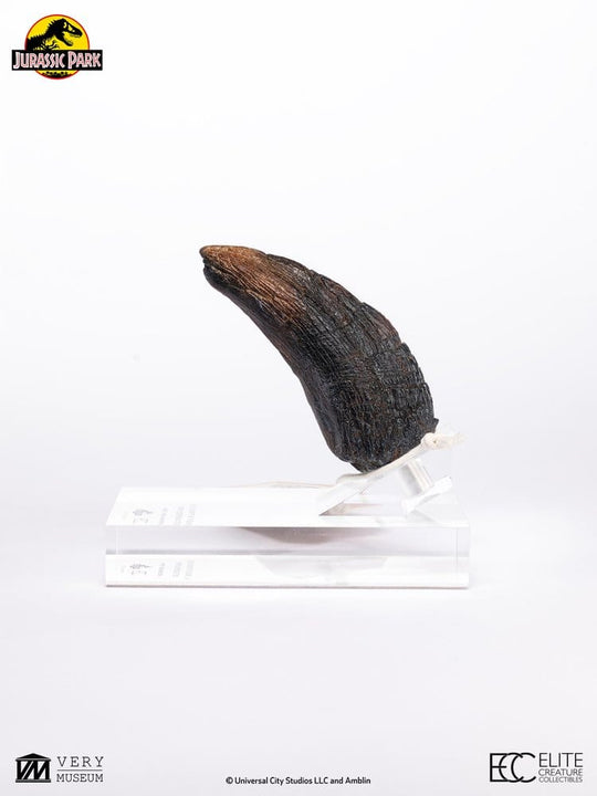 Jurassic Park 1/1 Replik Velociraptor Toenail Type A 11 cm