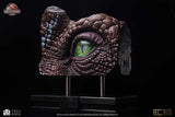 Jurassic Park III Replik Spinosaurus Eye Prop (Reproduction) 39 cm