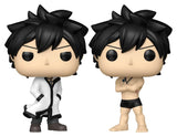 Fairy Tail 100 Year Quest POP! Animation Vinyl Figuren Gray w/Chase 9 cm Sortiment (6)