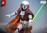 Star Wars: The Clone Wars Television Masterpiece Actionfigur 1/6 Saesee Tiin (Clone Armor) (Hot Toys Exclusive) 32 cm