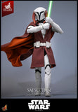 Star Wars: The Clone Wars Television Masterpiece Actionfigur 1/6 Saesee Tiin (Clone Armor) (Hot Toys Exclusive) 32 cm