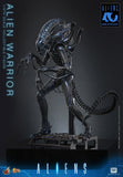 Alien Movie Masterpiece Actionfigur 1/6 Alien Warrior 39 cm
