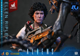 Alien Movie Masterpiece Actionfigur 1/6 Ellen Ripley (Artisan Edition) heo exclusive 30 cm