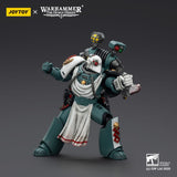 Warhammer 40,000: Sons of Horus Actionfigur Legion Apothecary 12 cm
