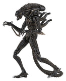 Aliens Ultimate Actionfigur Warrior (1986) Brown 23 cm