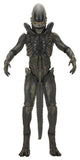 Alien: Earth Ultimate Actionfigur Xenomorph 18 cm