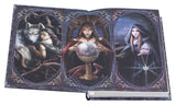 Anne Stokes Notizbuch The Book of Shadows A5 18 cm