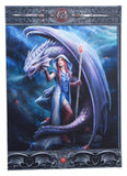 Anne Stokes Notizbuch Dragon Mage A5 18 cm
