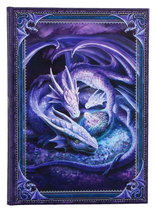 Anne Stokes Notizbuch Welcome Hatchling A5 18 cm