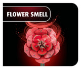 Revell Flowers Holzblumen Dream of Roses 22 cm