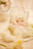 Lucky Deer Nai Flower Team Break Minifiguren Blind Box Sortiment (6)