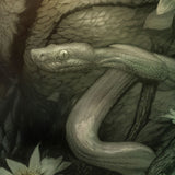 Der Schrecken vom Amazonas Kunstdruck Creature from the Black Lagoon by Dan Quintana 61 x 41 cm - ungerahmt