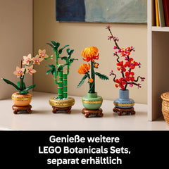 LEGO® 10344 Glücks-Bambus