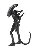 Alien 1979 Actionfigur 1/4 Ultimate 40th Anniversary Big Chap 56 cm - Smalltinytoystore