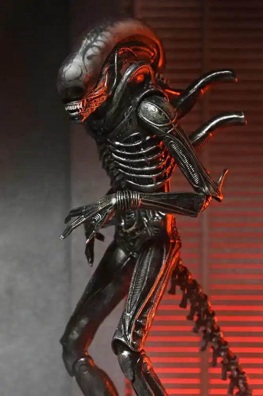 Alien: Romulus Actionfigur Ultimate Xenomorph XX121 18 cm - Smalltinytoystore
