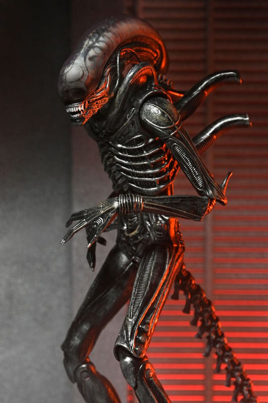 Alien: Romulus Actionfigur Ultimate Xenomorph XX121 18 cm - Smalltinytoystore