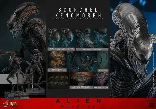 Alien: Romulus Movie Masterpiece Actionfigur 1/6 Scorched Xenomorph 44 cm HOT TOYS - Smalltinytoystore