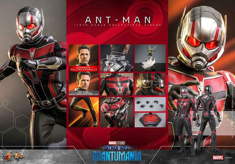 Ant-Man & The Wasp Quantumania Movie Masterpiece 1/6 Ant-Man 30 cm - Smalltinytoystore