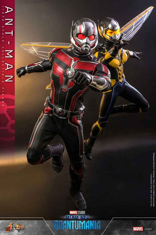 Ant-Man & The Wasp Quantumania Movie Masterpiece 1/6 Ant-Man 30 cm - Smalltinytoystore