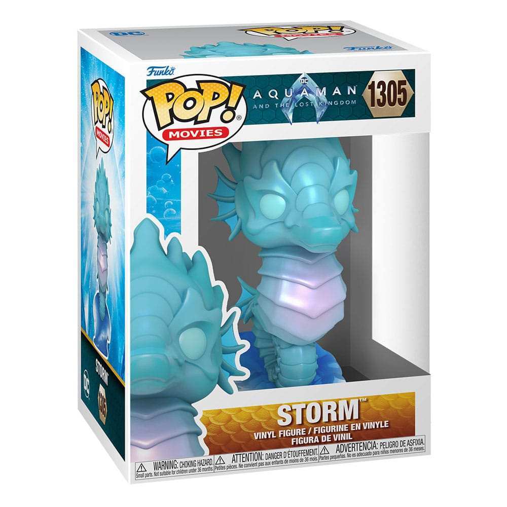 Aquaman and the Lost Kingdom POP! Vinyl Figur Storm 9 cm - Smalltinytoystore