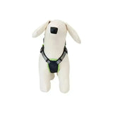 Beetlejuice by Loungefly Hundegeschirr Mini Backpack Cosplay Large - Smalltinytoystore