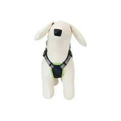 Beetlejuice by Loungefly Hundegeschirr Mini Backpack Cosplay Large - Smalltinytoystore